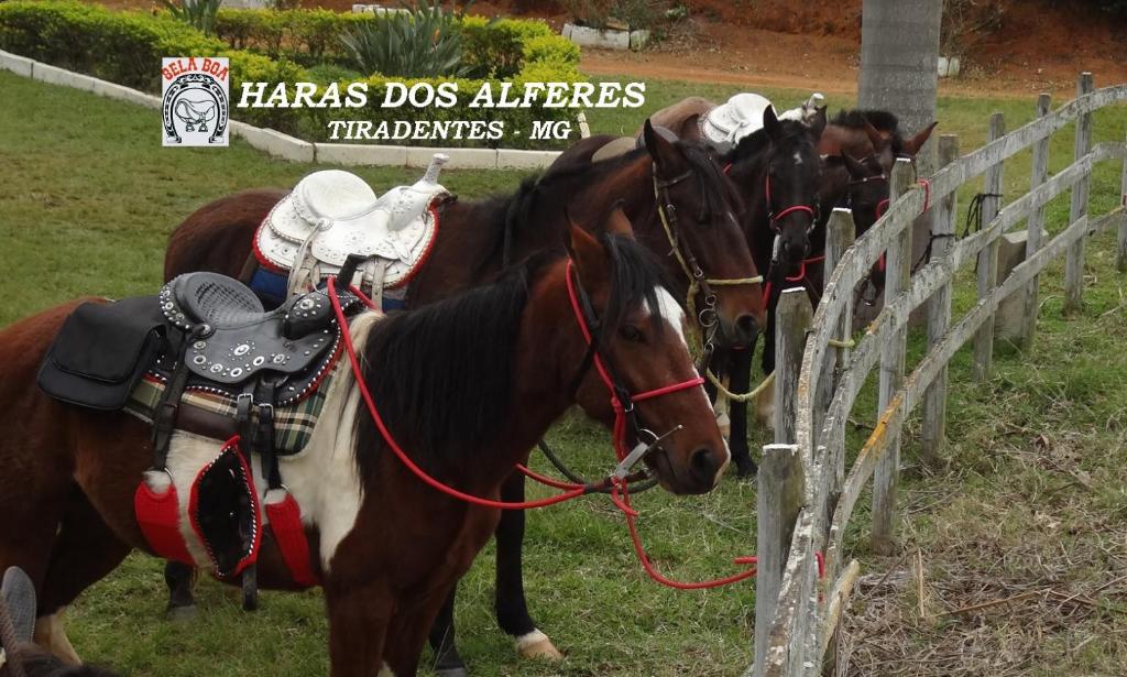  Haras do Alferes