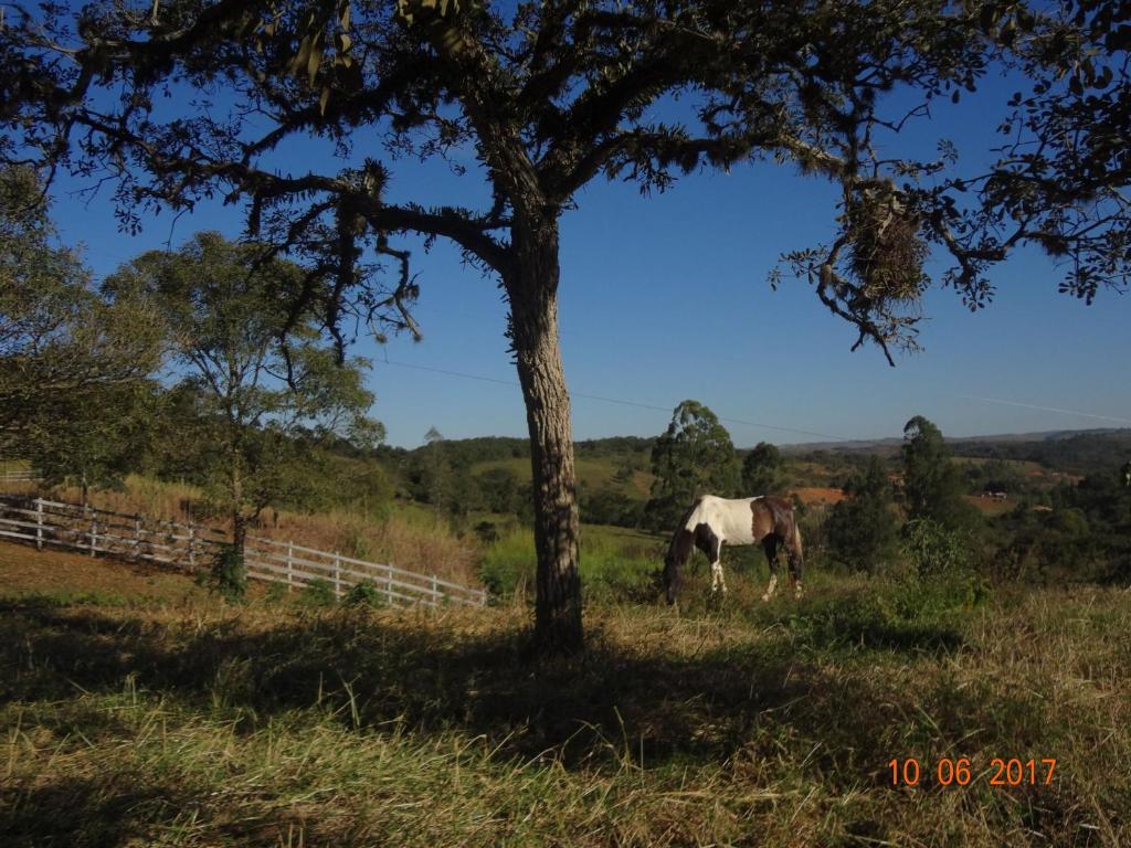  Haras do Alferes