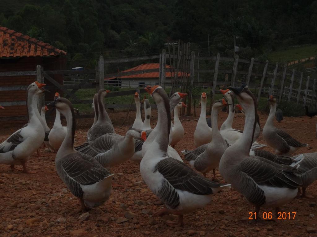  Haras do Alferes