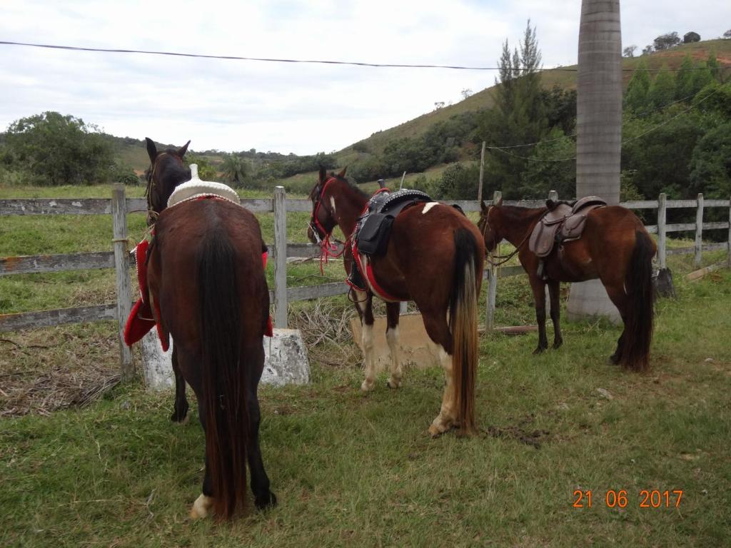  Haras do Alferes