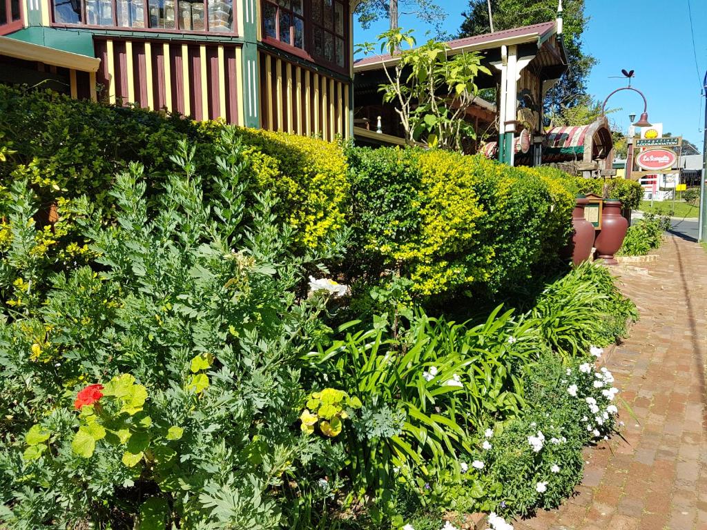 Zahrada ubytování Bridgefield Guest House