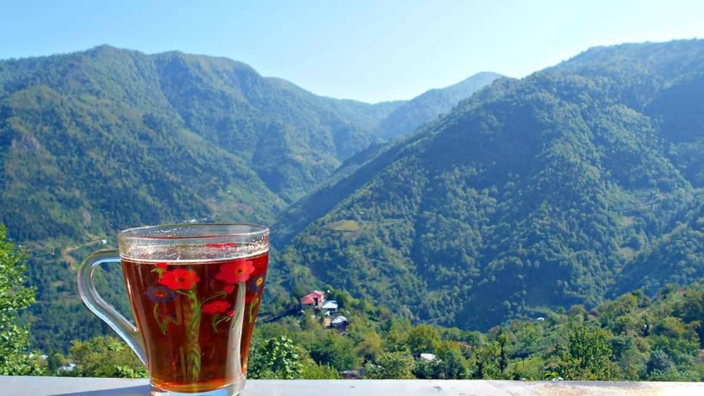 Кеда Аджария Грузия