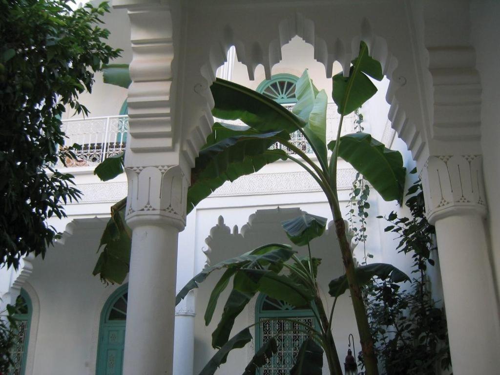 Zahrada ubytování Riad Ifoulki
