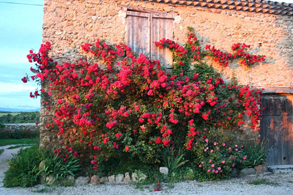 &#x62D;&#x62F;&#x64A;&#x642;&#x629; &#x62E;&#x627;&#x631;&#x62C; Le Clos de la Tuilerie