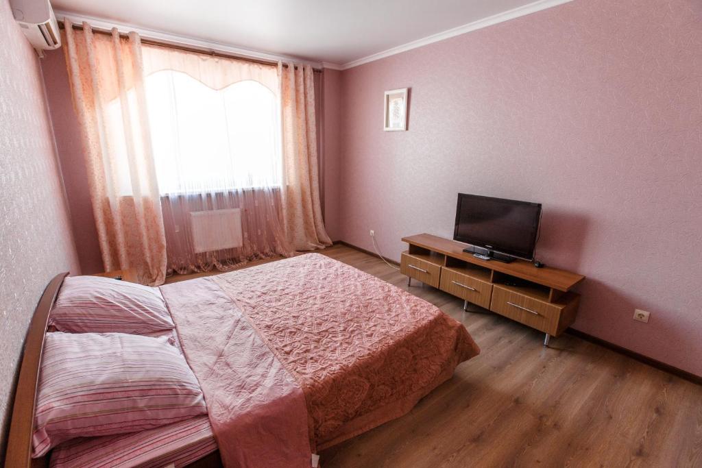 クラスノダールにあるApartment on Pokryshkina 2のベッドルーム(ベッド1台、テレビ、窓付)