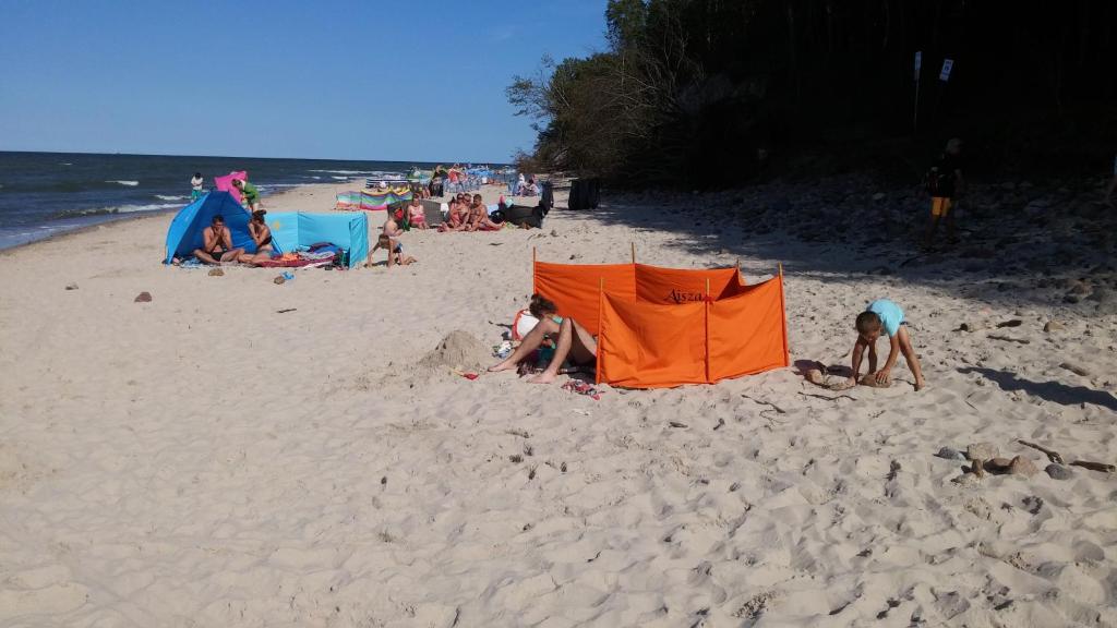 Príroda v okolí hotela