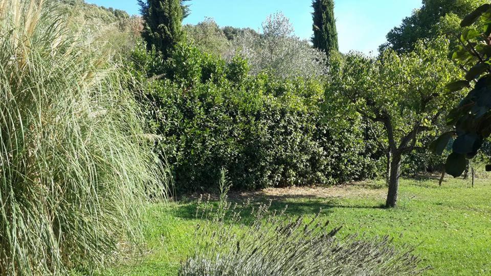 Vonkajšia záhrada v ubytovaní Casa Bella Vista Trevignano Romano