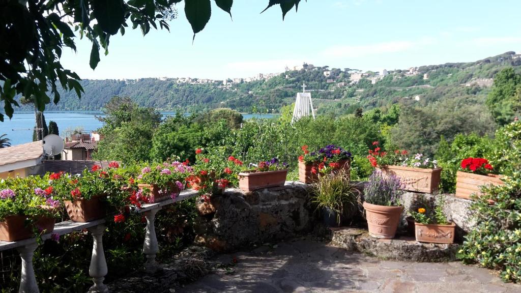 einen Garten mit vielen Blumen in Töpfen in der Unterkunft Bed&Breakfast "Fiorella" sul Lago in Castel Gandolfo