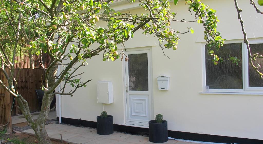 Apple tree cottage