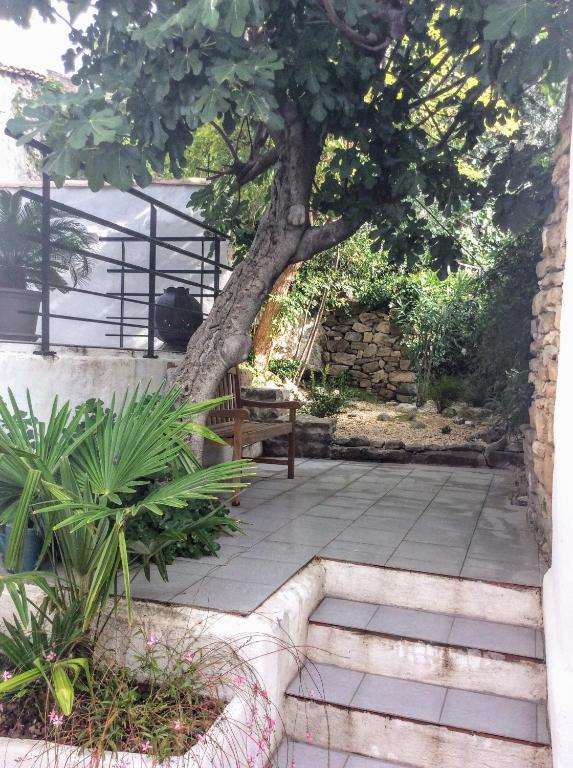 un arbre et un banc assis sous un arbre dans l'établissement Maison Ancienne Minervois, à La Caunette