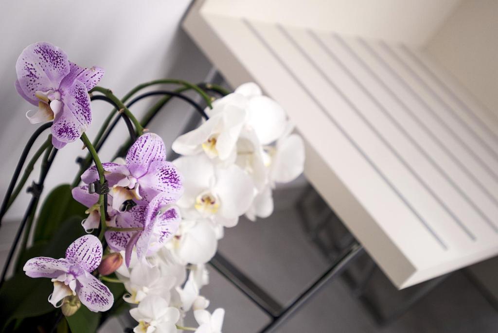 Merulana Holidays - 8