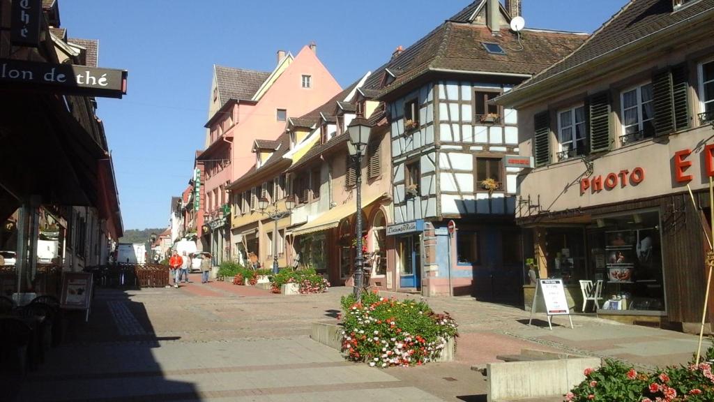una calle en una ciudad con edificios y flores en Maison Bleue en Saverne