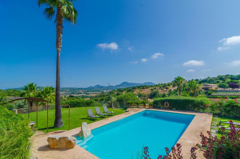 a swimming pool in a yard with a palm tree at Ses Pedres in Manacor