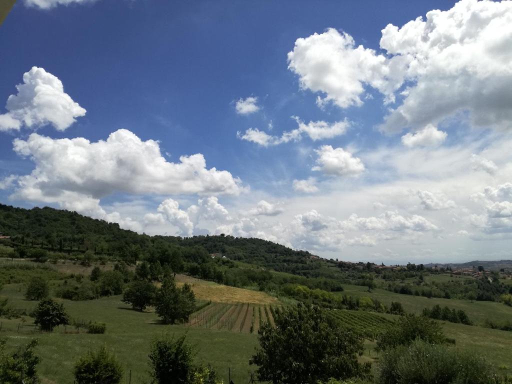 ein grünes Feld mit blauem Himmel und Wolken in der Unterkunft Azienda Agricola Garoglio Davide in Alfiano Natta