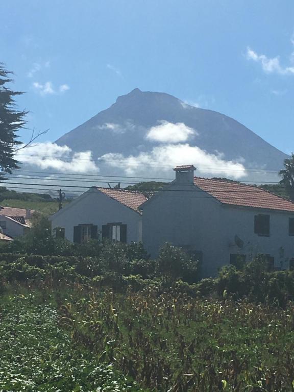 una montaña en la distancia con una casa en primer plano en Home Pico - Casa dos Cedros (Alojamento local) en Criação Velha