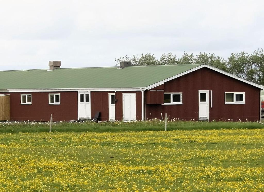 un granero rojo con un campo de flores delante de él en Kaldbakur Guesthouse, en Heimaland