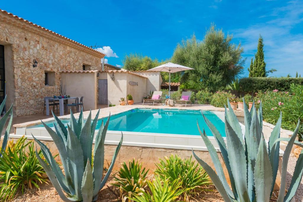 a villa with a swimming pool and some plants at Can Pina - Eco Cascada - in Costitx