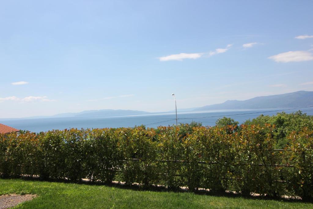 Príroda v okolí apartmánu