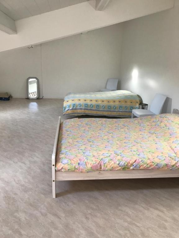 Zimmer mit 2 Betten und einem TV. in der Unterkunft Petite maison indépendante in Bulgnéville