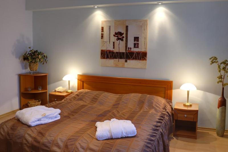 Postel nebo postele na pokoji v ubytování Hotel Druzba