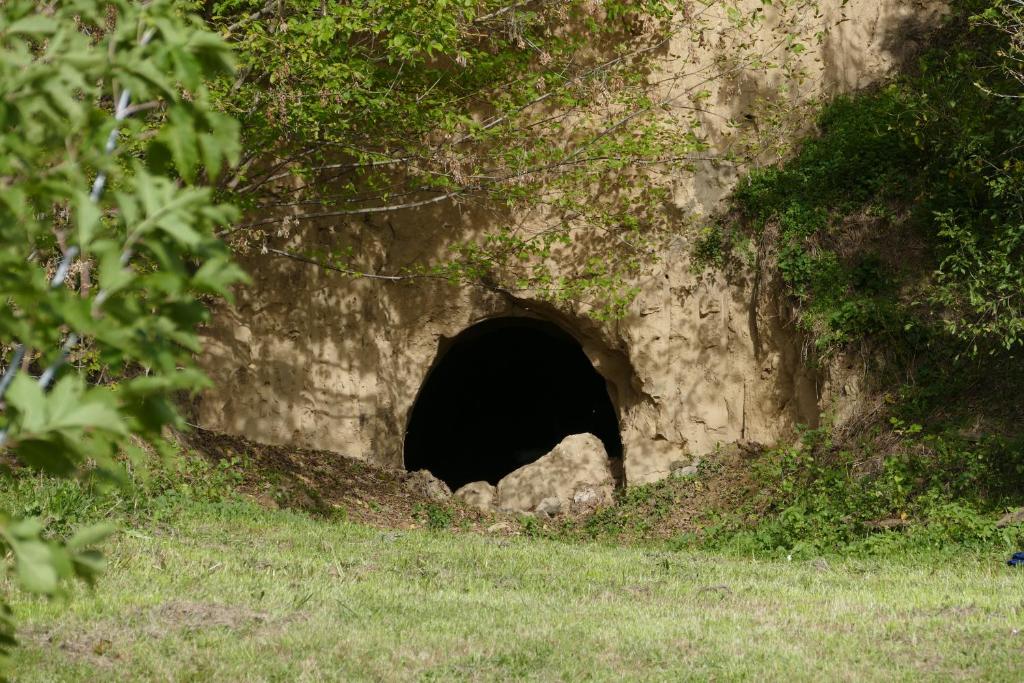 Fotografia z galérie ubytovania Komfortcaravan v destinácii Kalaznó