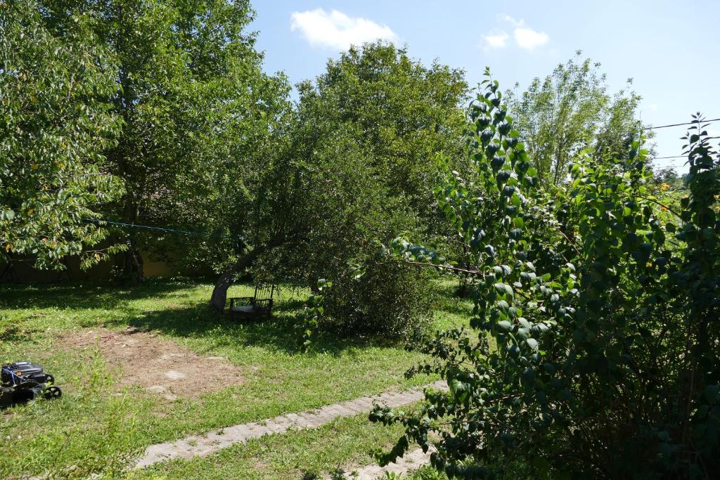 Vonkajšia záhrada v ubytovaní Komfortcaravan