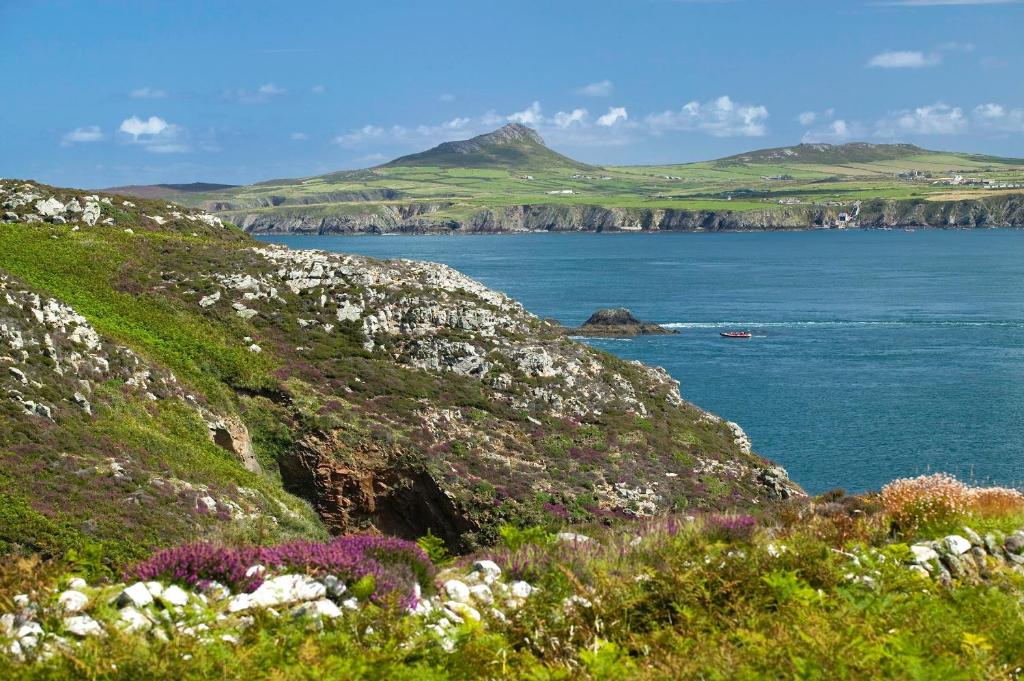 a view of the ocean from a hill with flowers at Penrhiw Priory in St. Davids