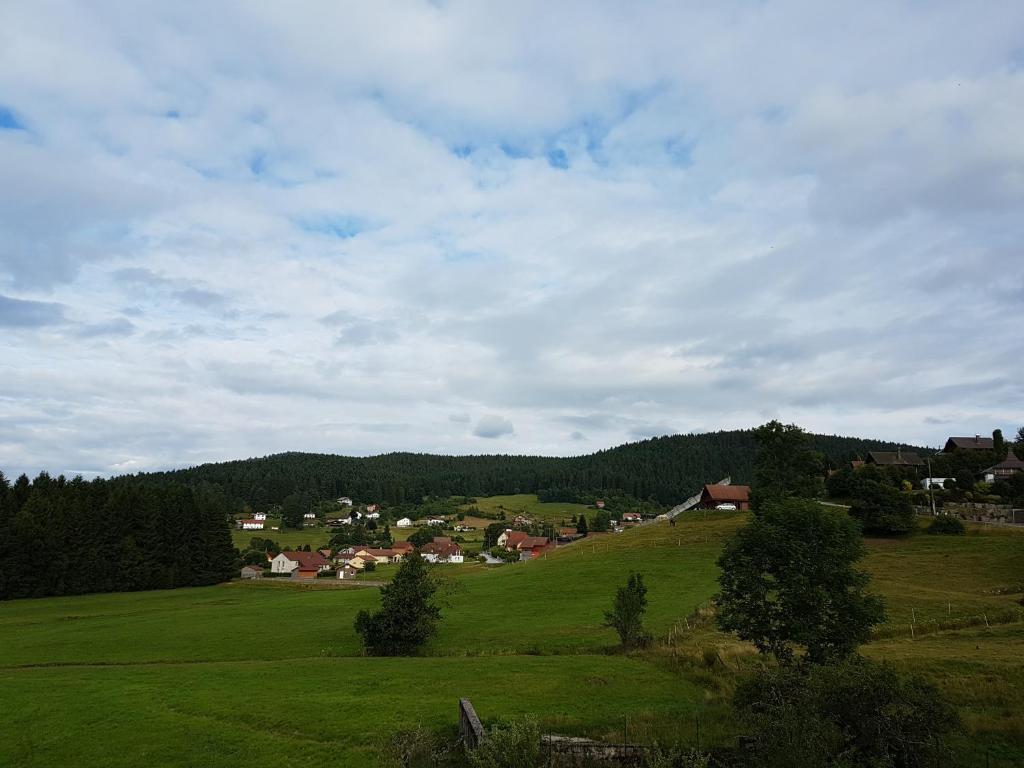 Příroda nedaleko chaty
