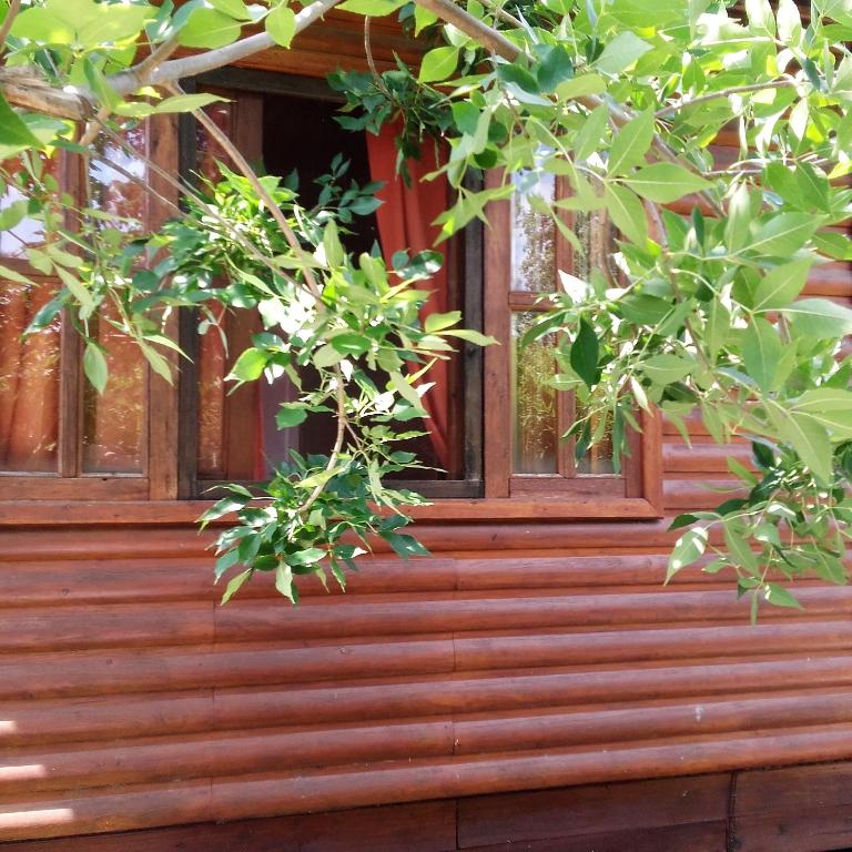 a window on a wooden house with trees at Cabaña Los Cardenales in Gualeguaychú