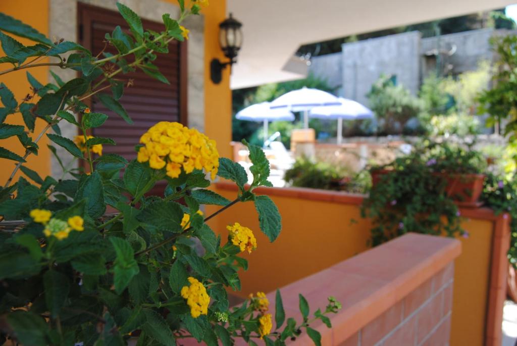 Zahrada ubytování Residence Villa Il Glicine