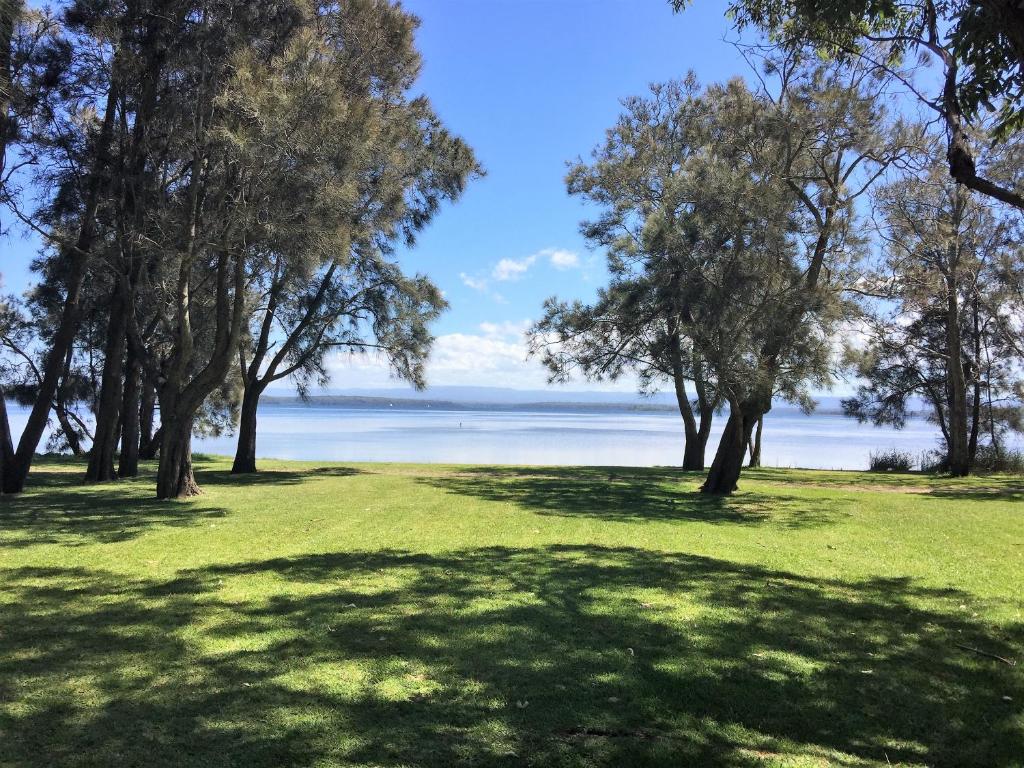 a field of grass with trees and water in the background at The Sanctuary at Paradise Beach B&B in Sanctuary Point