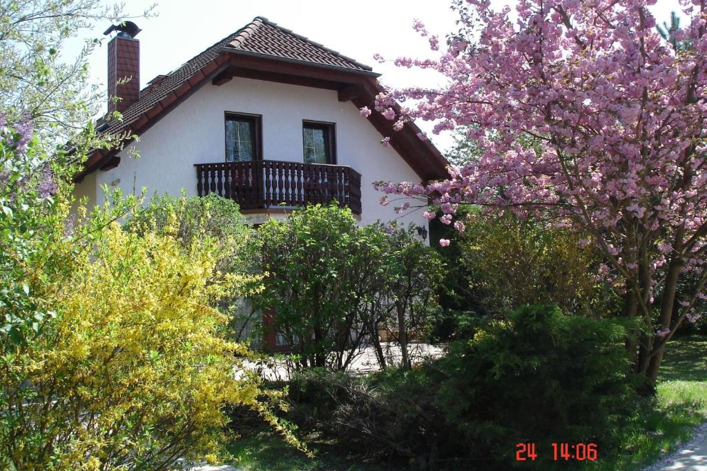 a white house with a balcony and flowering trees at Ferienhaus "Werrablick-Frankenroda" in Frankenroda