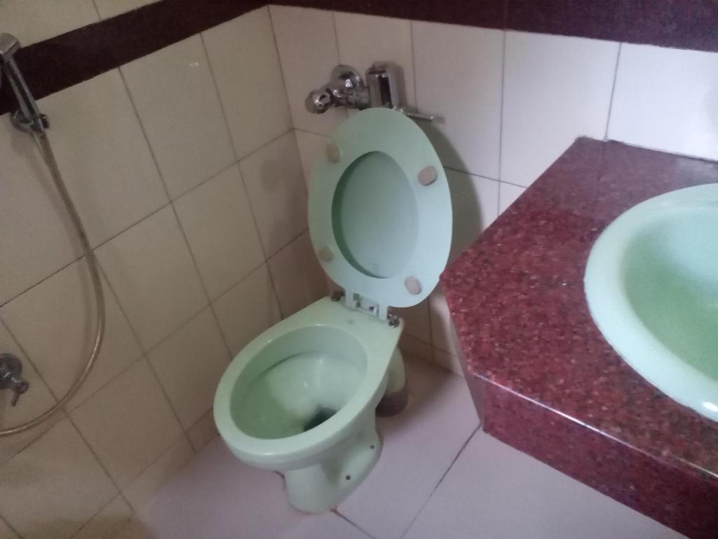 Koupelna v ubytování Hotel Preethi Palace
