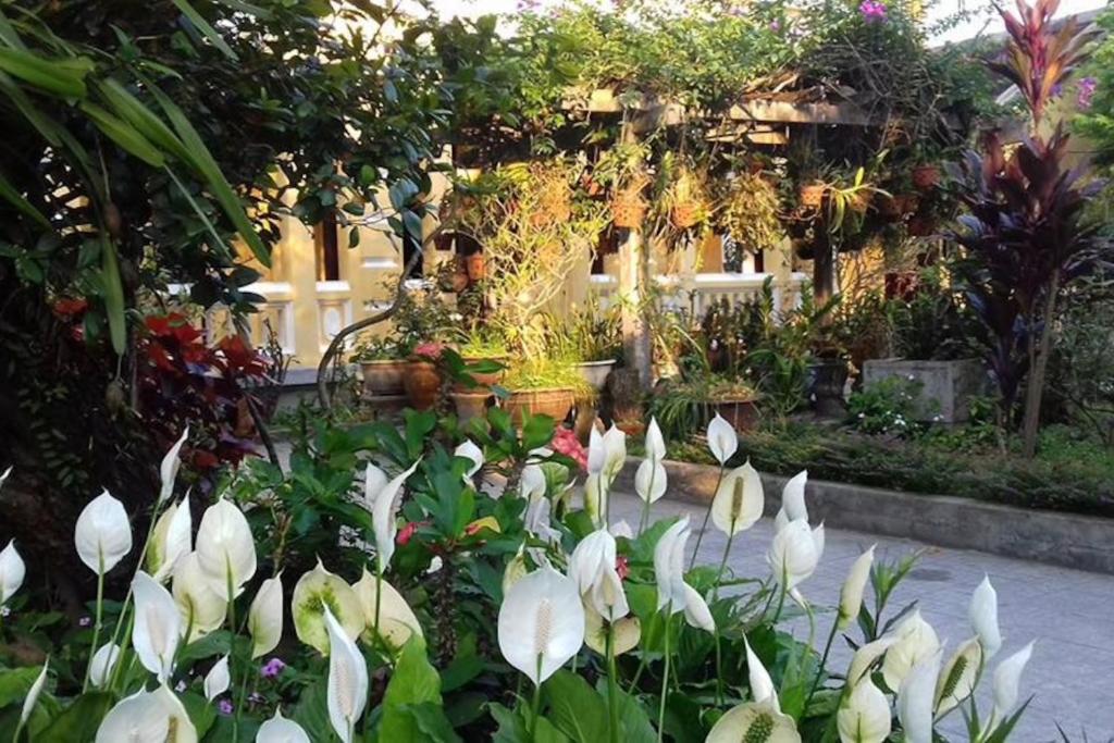 Zahrada ubytování Ciel Homestay