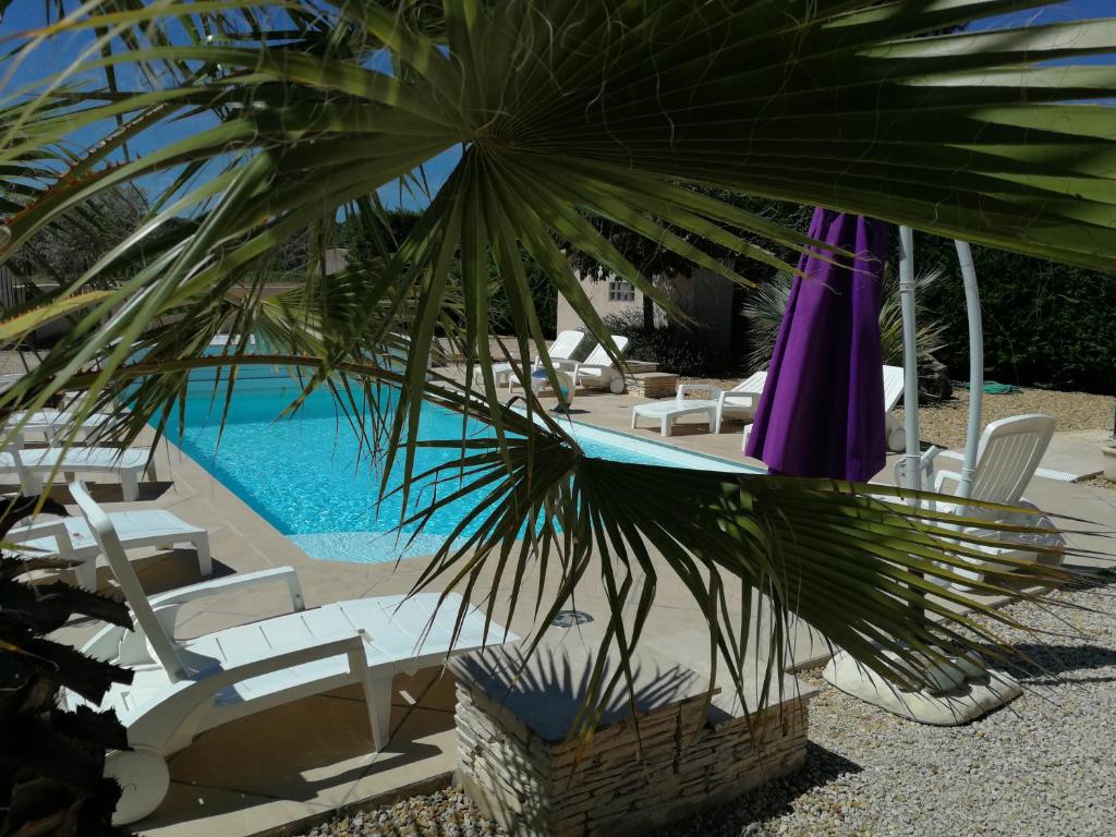 a view of a pool with chairs and a palm tree at Les Gites de Kevinou in Vallon-Pont-dʼArc