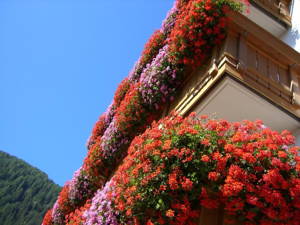 Zahrada ubytování B&B Hotel Alpenrose Rooms & Apartments