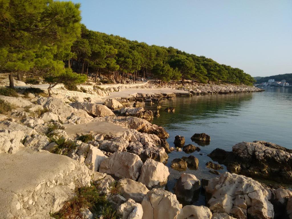 a beach with rocks and trees in the water at Villa Ines in Jezera