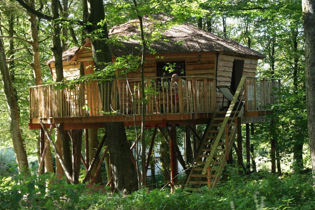 a tree house in the woods with a ladder at B&B La Cabane du Bois Dormant in Spa