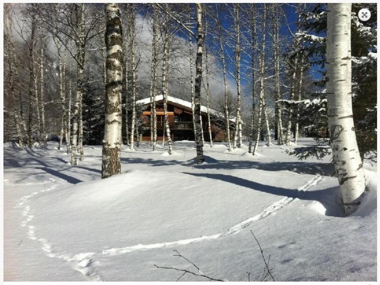 una cabaña de madera en el bosque con nieve y árboles en Chalet Champraz - Free Parking, en Chamonix-Mont-Blanc