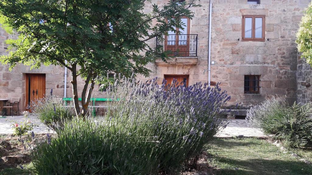 La Casa de Lucia - Housity