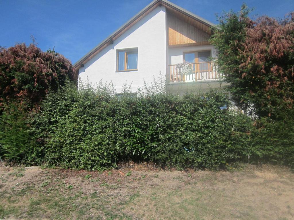 Zahrada ubytování Apartman Aneta