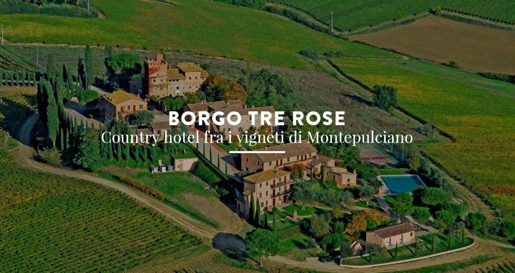 an aerial view of a house in a field at Borgo Tre Rose in Valiano