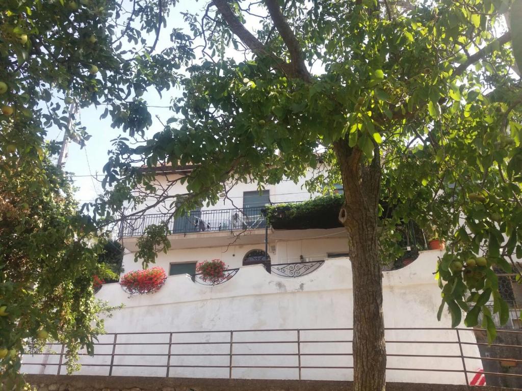 Budynek, w którym mieści się apartament