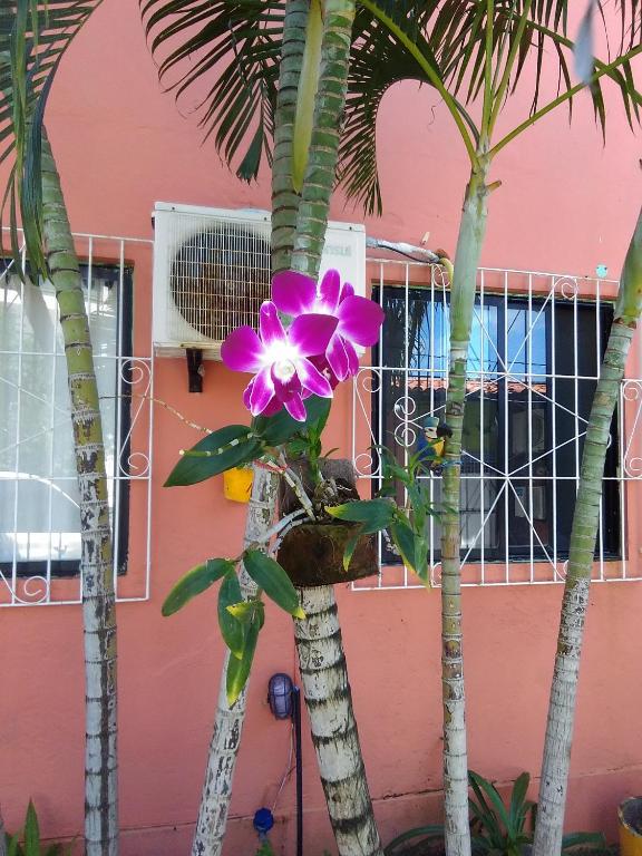  Pousada Suites das Galinhas