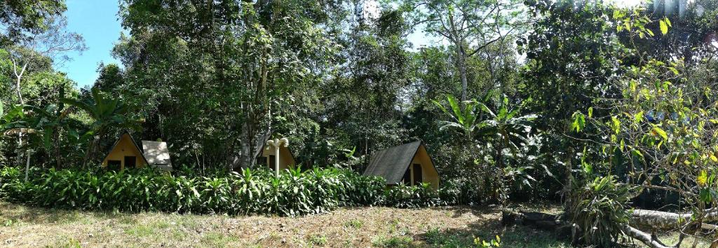 un groupe de maisons dans les bois avec des arbres dans l'établissement Chalés Sítio do Alemão, à Ubajara