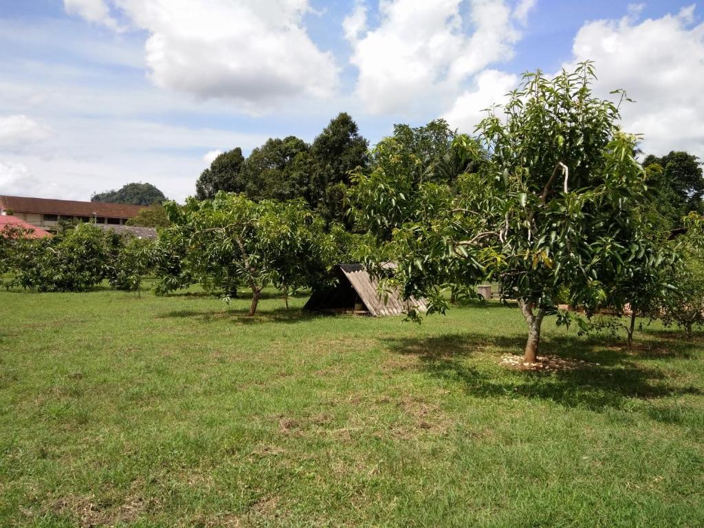 a field with trees and a building in the background at Harum Manis Country House in Kangar