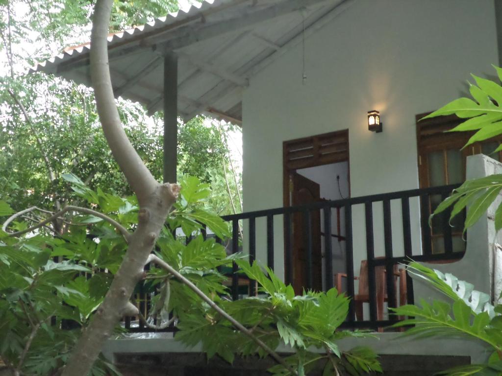 a house with a tree in front of it at Nature Glow Cottage in Udawalawe