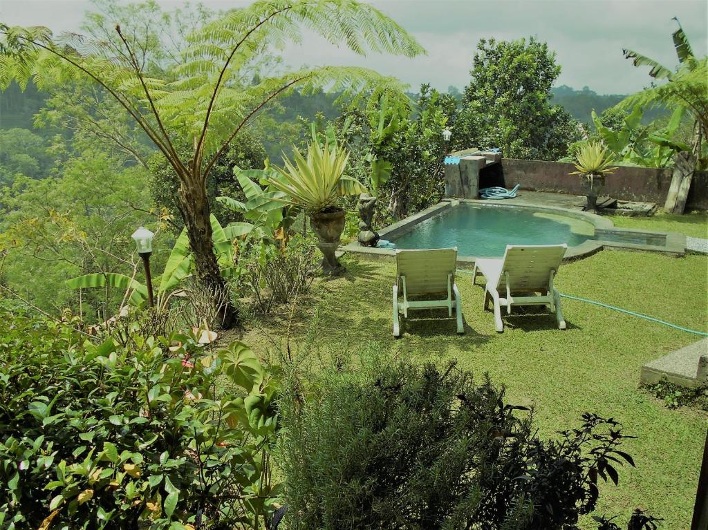 un cortile con 2 sedie e una piscina di Shangrilah Villas a Bedugul