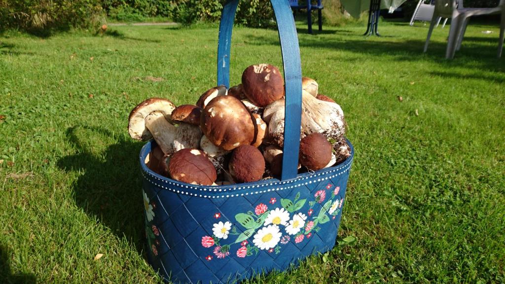 Zahrada ubytování Ängsliden