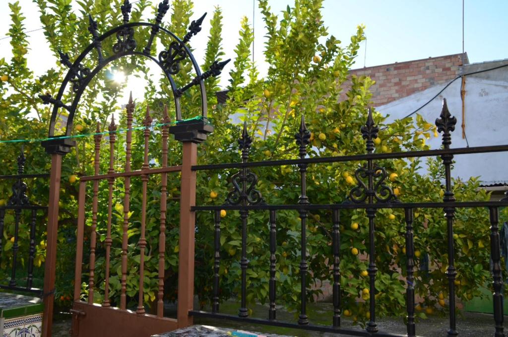 an iron fence with fruit trees behind it at Casa Quico in Higuera de Arjona